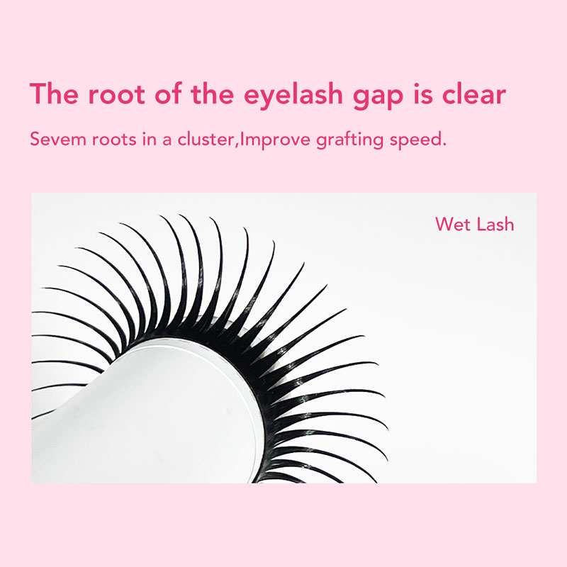 DIYDAY 5D Fairy Eyelash Extens - Eyelash Extension Wet Look recension och pris